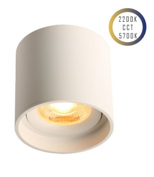 LED Ceiling Spot 24V, 8W, 2200K/5700K, CRI90 (Tuneable White, CCT)