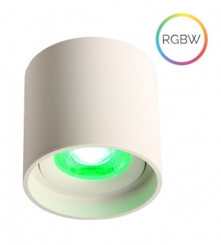 LED Ceiling Spot 24V, 8W, RGBW/2700K, CRI90 Schwarz