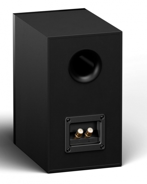 Signum 20 Schwarz, 2 Stück